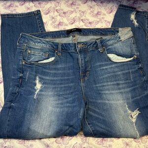 Dex Blue Straight Leg Jeans for Women